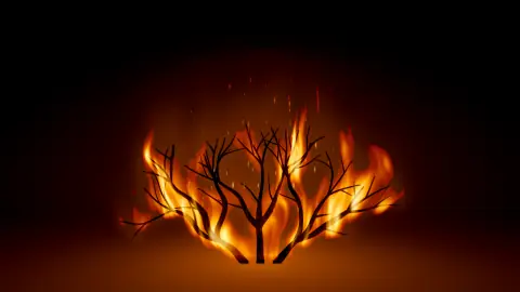 Burning Bush, still frame