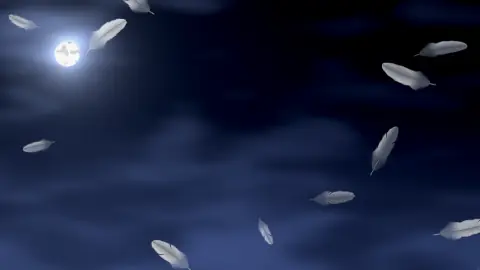 Feathers, still frame