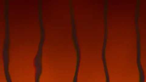 Fiery Furnace, still frame