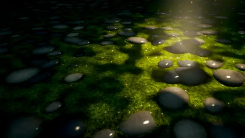 Moss & Stone, still frame