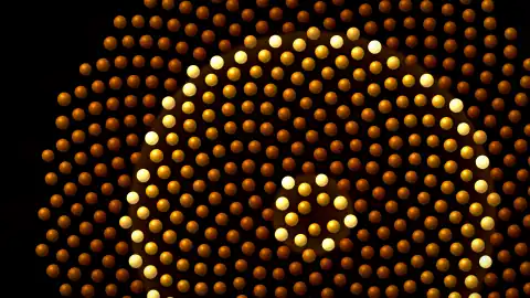 Mustard Seed, still frame