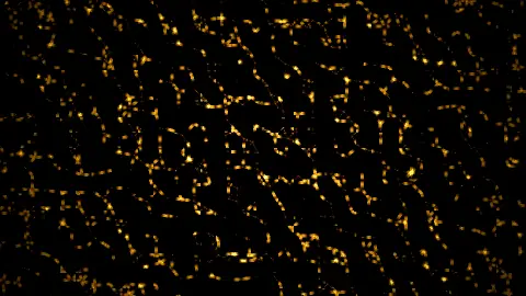 Neural Network, still frame