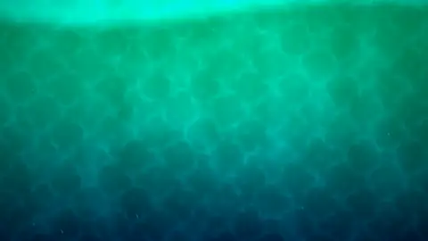 Ocean, still frame