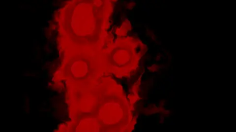 Wonderful Blood, still frame